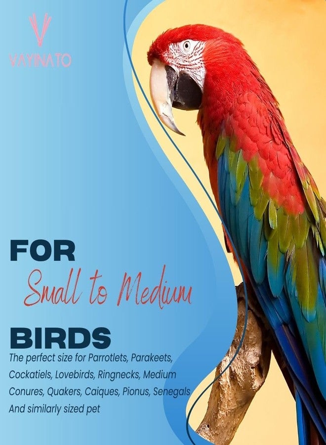 VAYINATO® Interactive Toys for Budgie, Parrot, Cockatiel, Parakeet, Conure, Macaw and Small Birds (Bell Ball, Pack of 3) by Petzlifeworld - Image 3